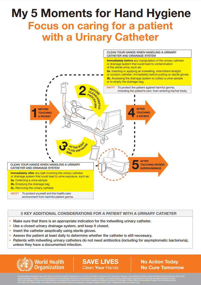 My 5 moments for hand hygiene: focus on caring for a patient with a urinary catheter
