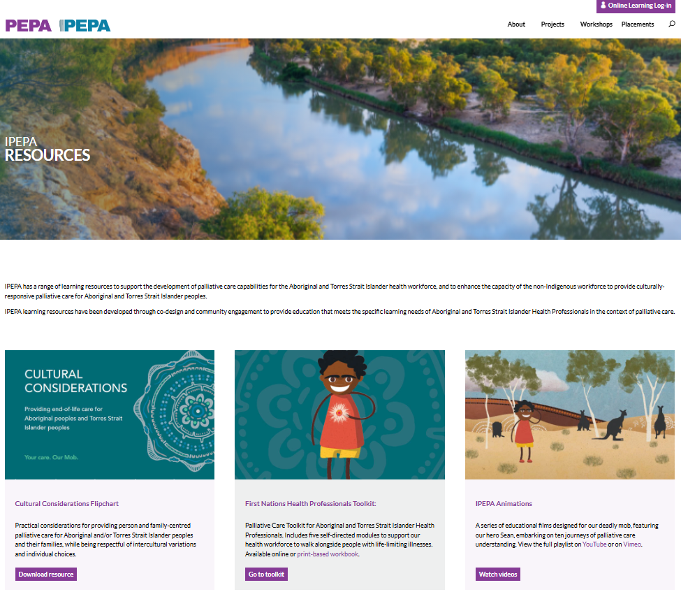 Indigenous Program of Experience in the Palliative Approach